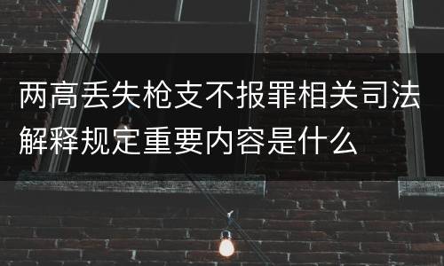 两高丢失枪支不报罪相关司法解释规定重要内容是什么