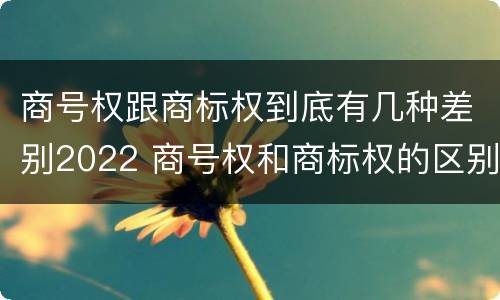 商号权跟商标权到底有几种差别2022 商号权和商标权的区别