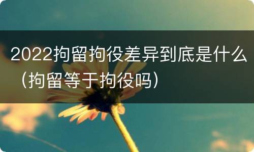 2022拘留拘役差异到底是什么（拘留等于拘役吗）