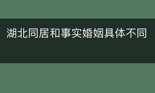 湖北同居和事实婚姻具体不同
