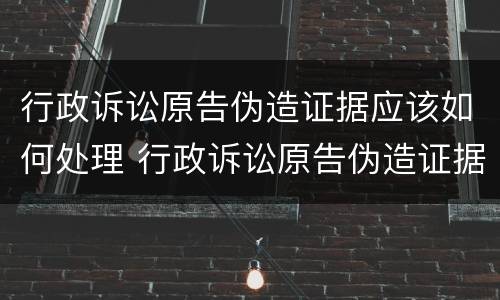行政诉讼原告伪造证据应该如何处理 行政诉讼原告伪造证据应该如何处理案件