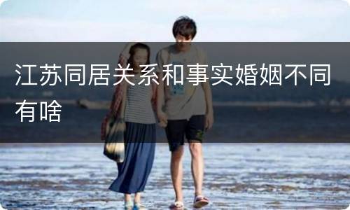 江苏同居关系和事实婚姻不同有啥