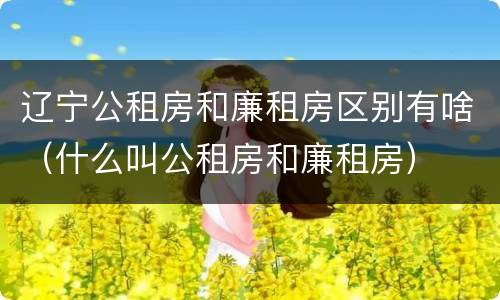 辽宁公租房和廉租房区别有啥（什么叫公租房和廉租房）