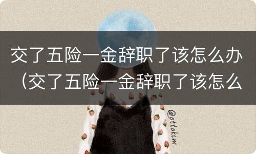 交了五险一金辞职了该怎么办（交了五险一金辞职了该怎么办理）