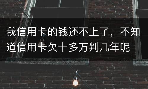 我信用卡的钱还不上了，不知道信用卡欠十多万判几年呢