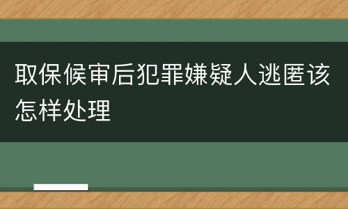 取保候审后犯罪嫌疑人逃匿该怎样处理