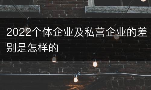 2022个体企业及私营企业的差别是怎样的
