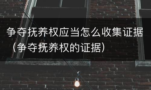 争夺抚养权应当怎么收集证据（争夺抚养权的证据）