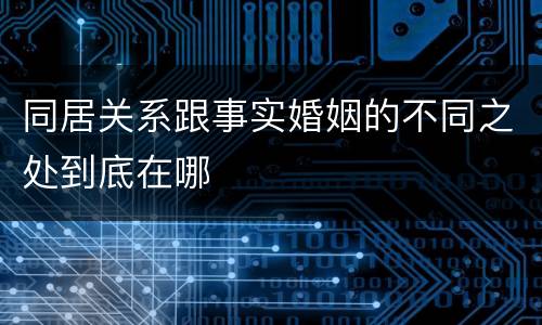 同居关系跟事实婚姻的不同之处到底在哪