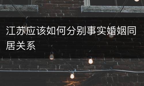 江苏应该如何分别事实婚姻同居关系