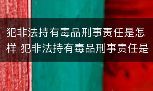 犯非法持有毒品刑事责任是怎样 犯非法持有毒品刑事责任是怎样认定的