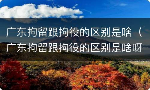 广东拘留跟拘役的区别是啥（广东拘留跟拘役的区别是啥呀）