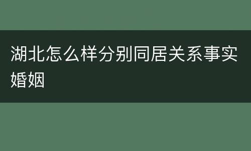 湖北怎么样分别同居关系事实婚姻