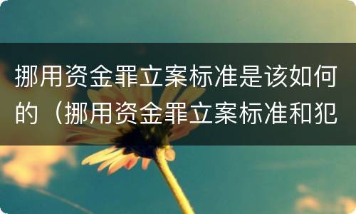 挪用资金罪立案标准是该如何的（挪用资金罪立案标准和犯罪构成）
