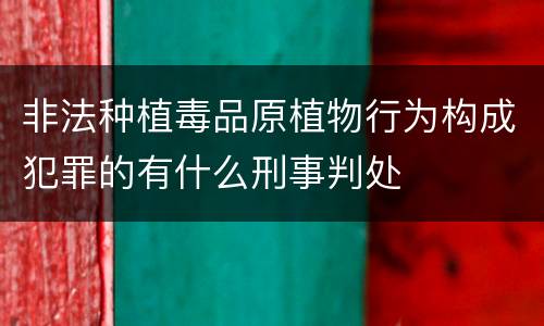 非法种植毒品原植物行为构成犯罪的有什么刑事判处