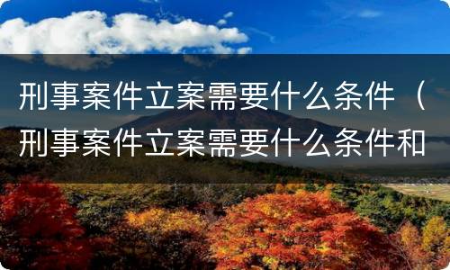 刑事案件立案需要什么条件（刑事案件立案需要什么条件和手续）