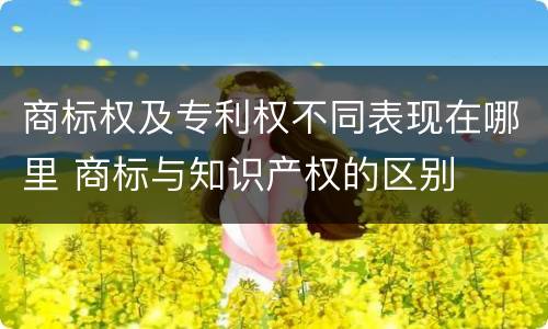 商标权及专利权不同表现在哪里 商标与知识产权的区别