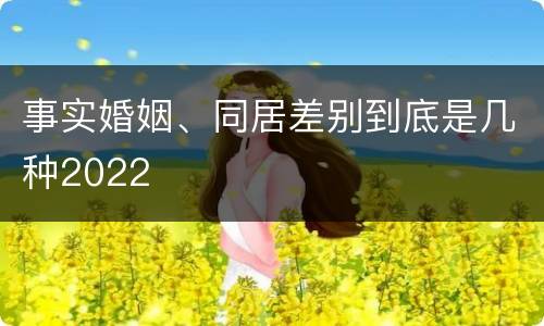 事实婚姻、同居差别到底是几种2022
