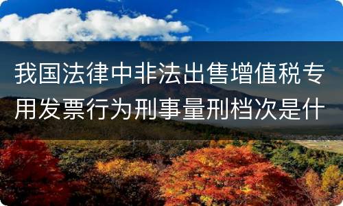 我国法律中非法出售增值税专用发票行为刑事量刑档次是什么
