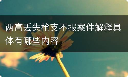 两高丢失枪支不报案件解释具体有哪些内容