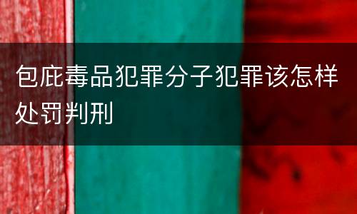 包庇毒品犯罪分子犯罪该怎样处罚判刑