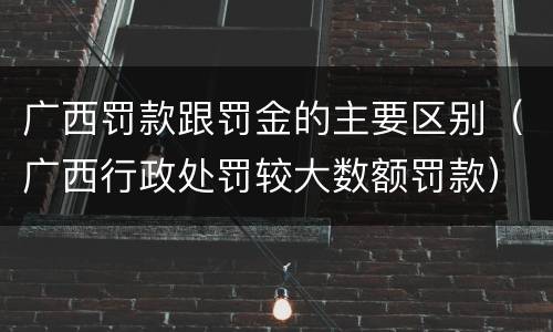 广西罚款跟罚金的主要区别（广西行政处罚较大数额罚款）