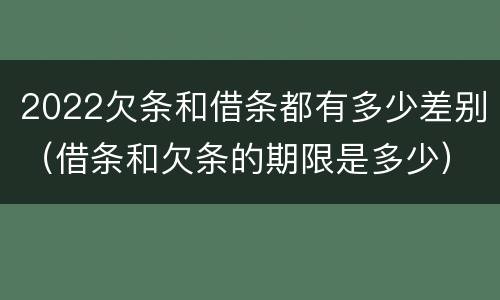2022欠条和借条都有多少差别（借条和欠条的期限是多少）