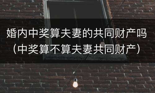 婚内中奖算夫妻的共同财产吗（中奖算不算夫妻共同财产）