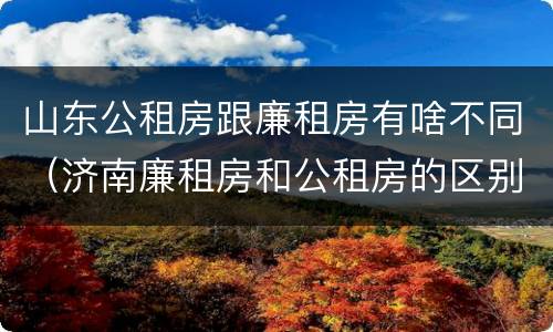 山东公租房跟廉租房有啥不同(济南廉租房和公租房的区别)