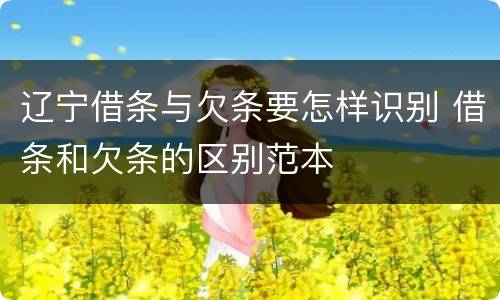 辽宁借条与欠条要怎样识别 借条和欠条的区别范本