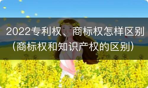 2022专利权、商标权怎样区别（商标权和知识产权的区别）