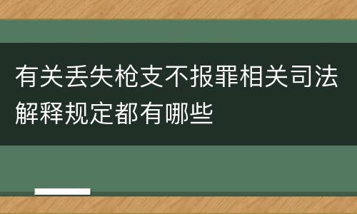有关丢失枪支不报罪相关司法解释规定都有哪些
