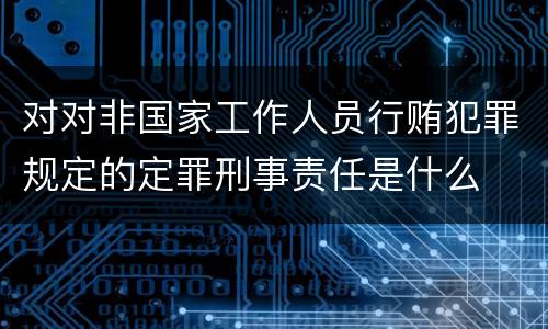 对对非国家工作人员行贿犯罪规定的定罪刑事责任是什么