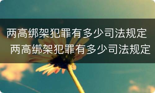 两高绑架犯罪有多少司法规定 两高绑架犯罪有多少司法规定