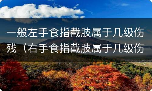 一般左手食指截肢属于几级伤残（右手食指截肢属于几级伤残）