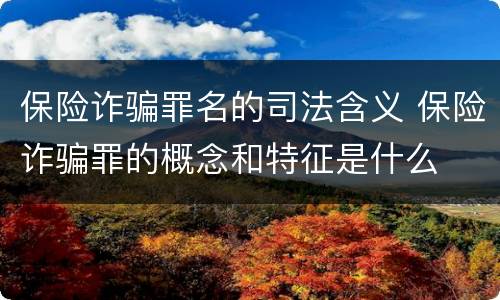 保险诈骗罪名的司法含义 保险诈骗罪的概念和特征是什么