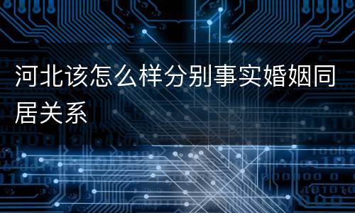 河北该怎么样分别事实婚姻同居关系