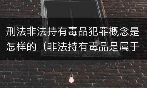 刑法非法持有毒品犯罪概念是怎样的（非法持有毒品是属于毒品犯罪吗）