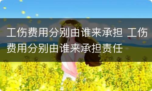 工伤费用分别由谁来承担 工伤费用分别由谁来承担责任