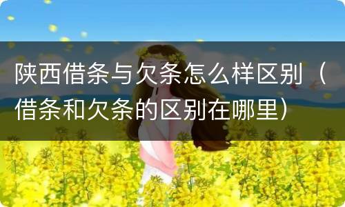 陕西借条与欠条怎么样区别（借条和欠条的区别在哪里）
