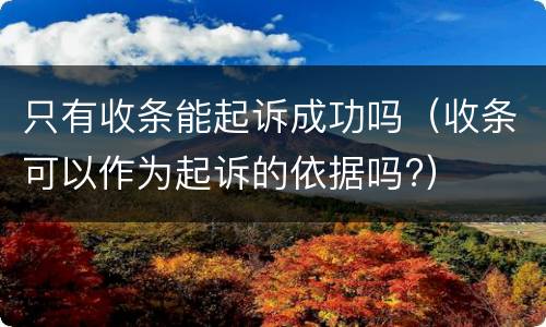 只有收条能起诉成功吗（收条可以作为起诉的依据吗?）