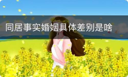 同居事实婚姻具体差别是啥