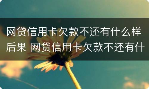 网贷信用卡欠款不还有什么样后果 网贷信用卡欠款不还有什么样后果吗