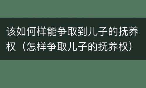 该如何样能争取到儿子的抚养权（怎样争取儿子的抚养权）