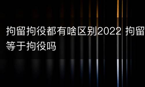 拘留拘役都有啥区别2022 拘留等于拘役吗