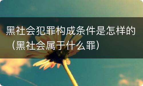 黑社会犯罪构成条件是怎样的（黑社会属于什么罪）