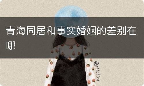 青海同居和事实婚姻的差别在哪