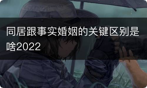 同居跟事实婚姻的关键区别是啥2022