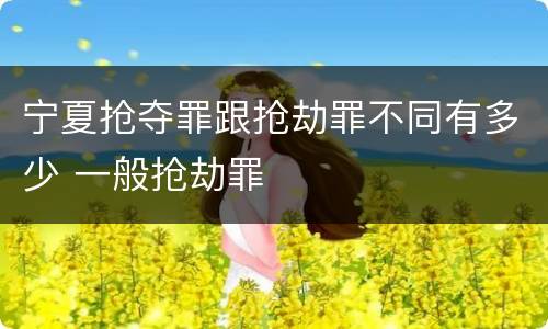 宁夏抢夺罪跟抢劫罪不同有多少 一般抢劫罪