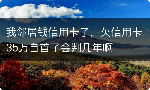 我邻居钱信用卡了，欠信用卡35万自首了会判几年啊